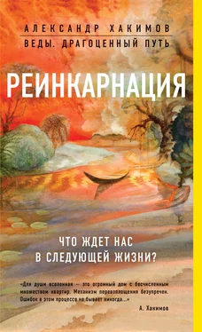 Александр Хакимов Реинкарнация. Что ждет нас в следующей жизни? обложка книги