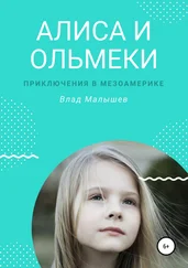 Влад Малышев - Алиса и ольмеки. Приключения в Мезоамерике