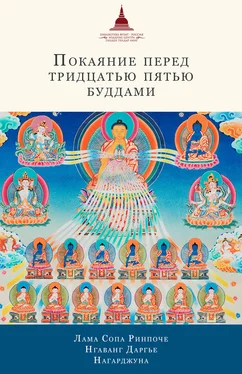 Нгаванг Даргье Покаяние перед Тридцатью пятью буддами (сборник) обложка книги