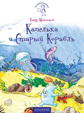 Тимур Максютов Капелька и Старый Корабль обложка книги