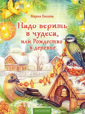 Мария Евсеева Надо верить в чудеса, или Рождество в деревне обложка книги
