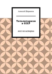 Алексей Шарыпов - Тоталитаризм в СССР. Эссе по истории