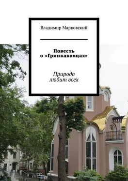 Владимир Марковский Повесть о «Гринкаковцах». Природа любит всех обложка книги