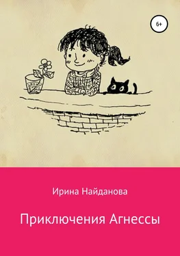 Ирина Найданова Приключения Агнессы обложка книги