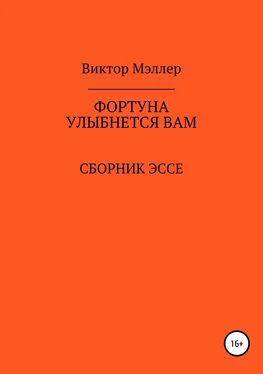 ВИКТОР МЭЛЛЕР Фортуна улыбнется вам обложка книги