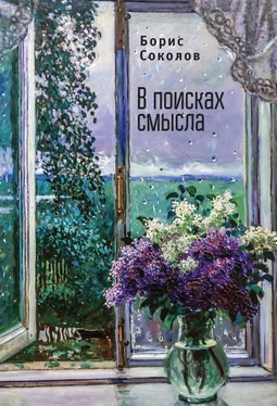 Борис Соколов В поисках смысла обложка книги