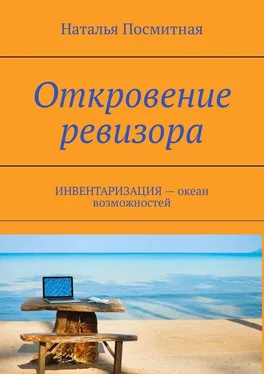 Наталья Посмитная Откровение ревизора. ИНВЕНТАРИЗАЦИЯ – океан возможностей обложка книги