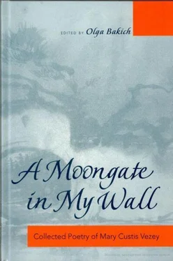 Мария Визи A moon gate in my wall: собрание стихотворений обложка книги