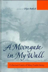 Мария Визи - A moongate in my wall - собрание стихотворений