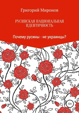 Григорий Миронов Русинская национальная идентичность. Почему русины – не украинцы? обложка книги