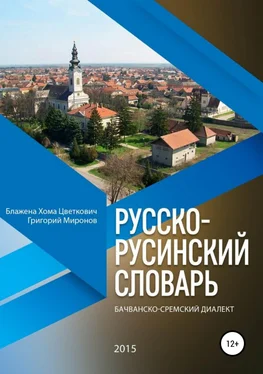 Григорий Миронов Русско-русинский словарь. Бачванско-сремский диалект обложка книги