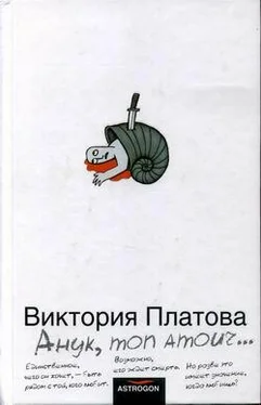 Виктория Платова Анук, mon amour... обложка книги