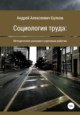 Андрей Булков Социология труда: Методические указания к курсовым работам обложка книги