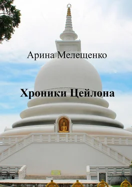 Арина Мелещенко Хроники Цейлона обложка книги