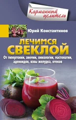 Юрий Константинов - Лечимся свеклой. От гипертонии, анемии, онкологии, мастопатии, аденоидов, язвы желудка, отеков