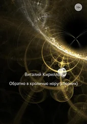 Виталий Кириллов - Обратно в кроличью нору. Сборник рассказов