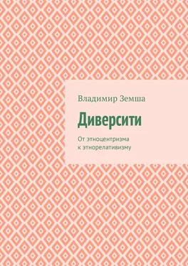 Владимир Земша Диверсити. От этноцентризма к этнорелативизму обложка книги