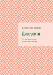 Владимир Земша - Диверсити. От этноцентризма к этнорелативизму