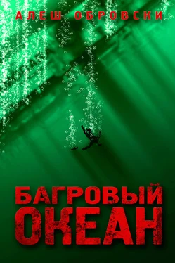 Алеш Обровски Багровый океан обложка книги