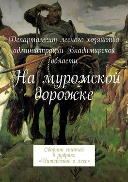 В. Лягоскин На муромской дорожке. Сборник статей в рубрике «Интересное о лесе» обложка книги