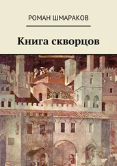 Роман Шмараков - Книга скворцов
