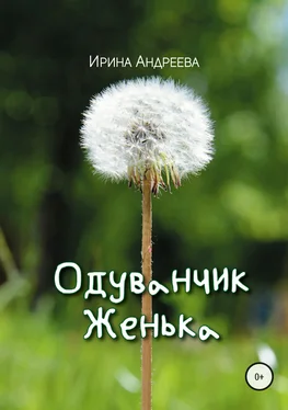 Ирина Андреева Одуванчик Женька обложка книги