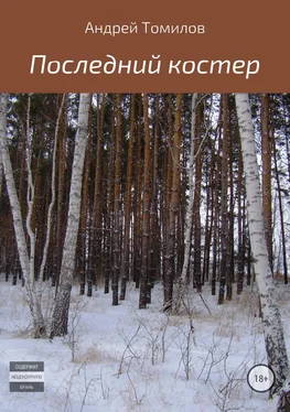 Андрей Томилов Последний костер обложка книги