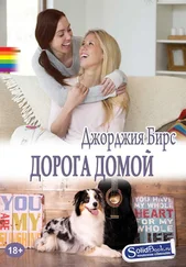 Джорджия Бирс - Дорога домой