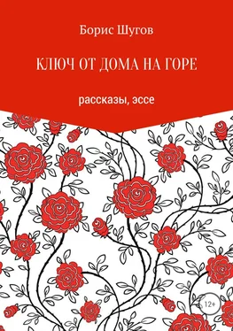 Борис Шугов Ключ от дома на горе обложка книги