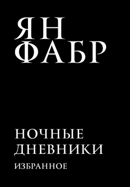 Ян Фабр Ночные дневники. Избранное обложка книги