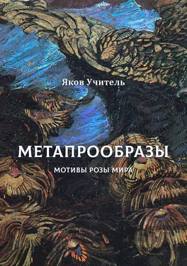 Яков Учитель МЕТАПРООБРАЗЫ. Мотивы Розы Мира обложка книги