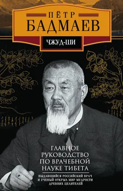 Петр Бадмаев Чжуд-ши. Главное руководство по врачебной науке Тибета обложка книги