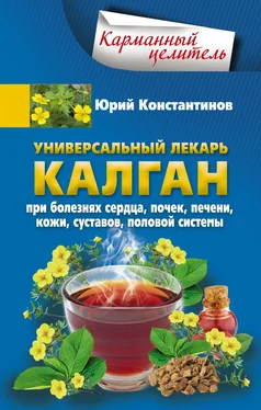 Юрий Константинов Универсальный лекарь калган. При болезнях сердца, почек, печени, кожи, суставов, половой системы обложка книги