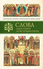 митрополит Владимир (Иким) - Слова в дни памяти особо чтимых святых. Книга первая. Март, апрель, май