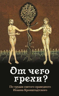 архимандрит Наум (Байбородин) От чего грехи? По трудам святого праведного Иоанна Кронштадтского обложка книги