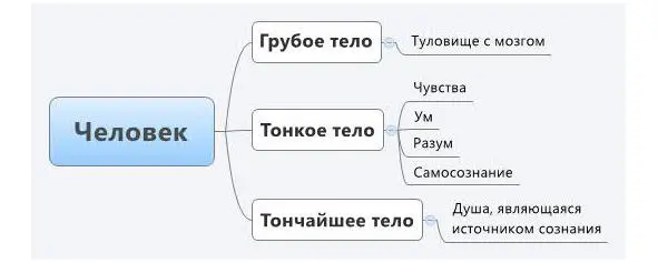 У грубого тела существует четыре основные потребности питание сон секс и - фото 1