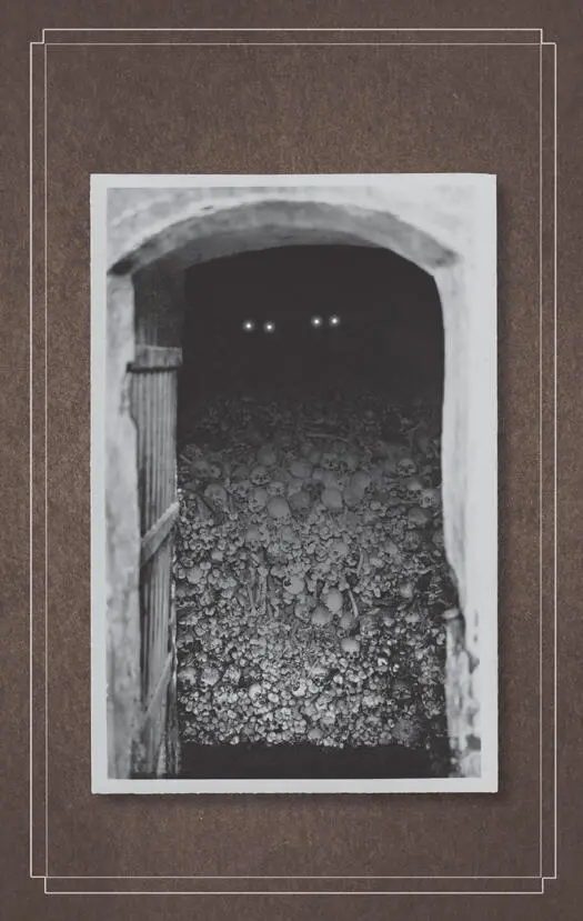 The pigeons like to hide said the larger In the attic said the smaller - фото 59