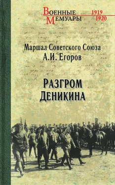 Александр Егоров Разгром Деникина обложка книги
