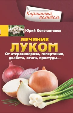 Юрий Константинов Лечение луком. От атеросклероза, гипертонии, диабета, отита, простуды… обложка книги