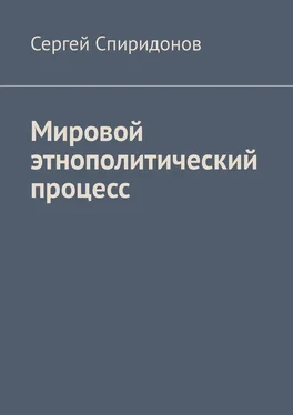 Сергей Спиридонов Мировой этнополитический процесс обложка книги