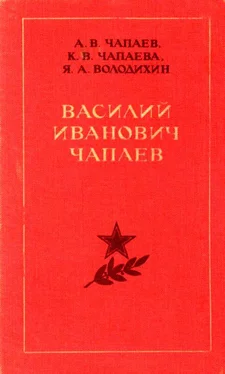 Александр Чапаев Василий Иванович Чапаев обложка книги