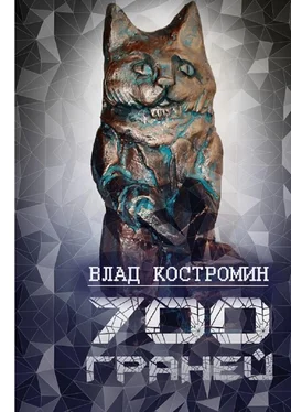 Влад Костромин 700 граней обложка книги