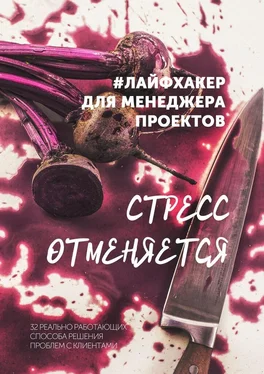 Ольга Мошина Стресс отменяется. #лайфхакер для менеджера проектов обложка книги