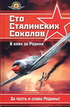 Федор Фалалеев Сто сталинских соколов. В боях за Родину обложка книги