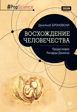 Джейкоб Броновски Восхождение человечества обложка книги