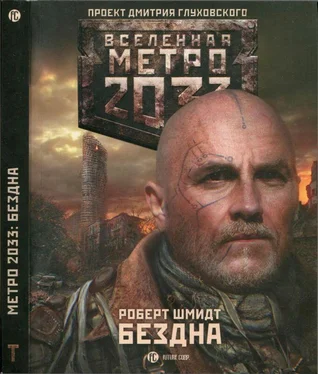 Роберт Шмидт Метро 2033: Бездна обложка книги