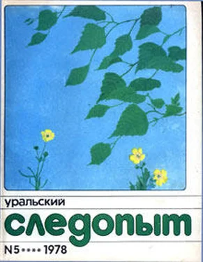 Александр Щербаков Белый Пим Чертово Ухо обложка книги