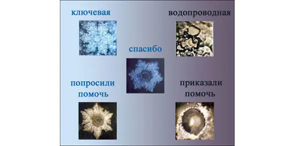 РИС1 9 Что было то и будет и что делалось то и будет делаться и нет - фото 4