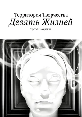 Валентина Спирина Девять жизней. Третье измерение обложка книги