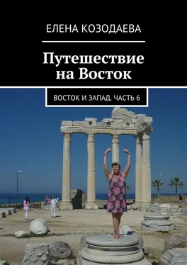 Елена Козодаева Путешествие на Восток. Восток и Запад. Часть 6 обложка книги